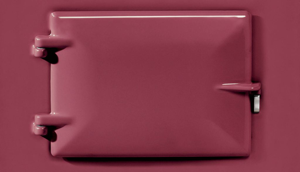 Raspberry