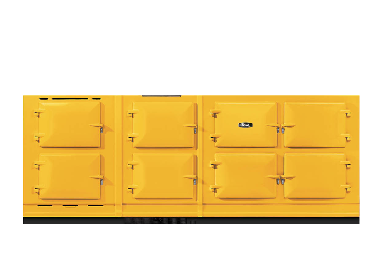 Mustard